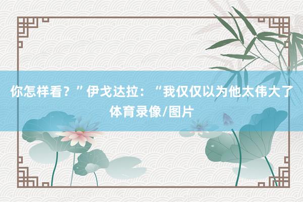 你怎样看?” 伊戈达拉:“我仅仅以为他太伟大了体育录像/图片
