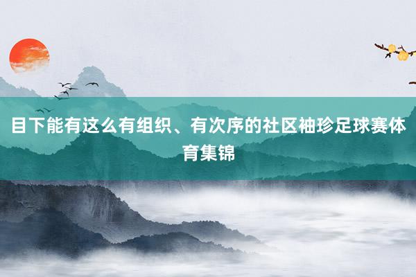 目下能有这么有组织、有次序的社区袖珍足球赛体育集锦