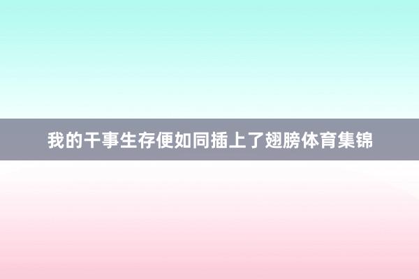 我的干事生存便如同插上了翅膀体育集锦