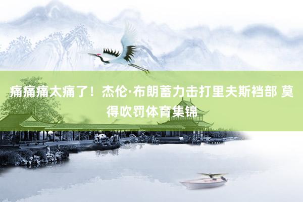 痛痛痛太痛了！杰伦·布朗蓄力击打里夫斯裆部 莫得吹罚体育集锦