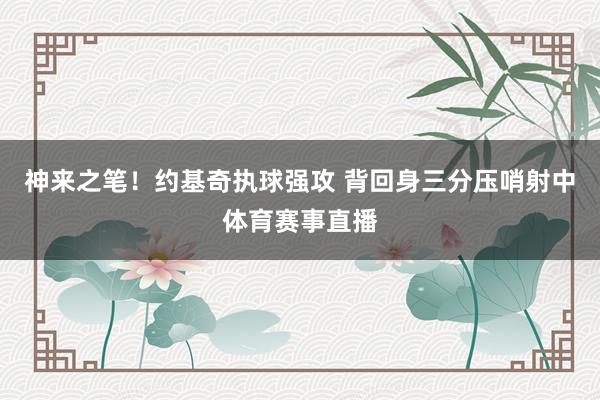 神来之笔！约基奇执球强攻 背回身三分压哨射中体育赛事直播