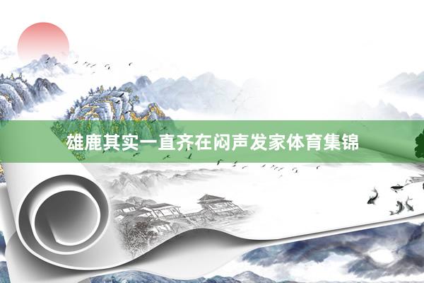 雄鹿其实一直齐在闷声发家体育集锦