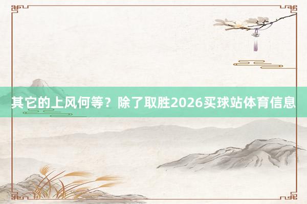 其它的上风何等?除了取胜2026买球站体育信息
