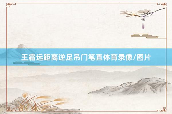 王霜远距离逆足吊门笔直体育录像/图片