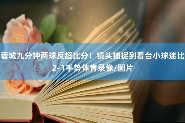 蓉城九分钟两球反超比分！镜头捕捉到看台小球迷比2-1手势体育录像/图片