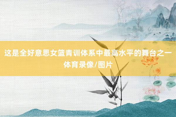 这是全好意思女篮青训体系中最高水平的舞台之一体育录像/图片