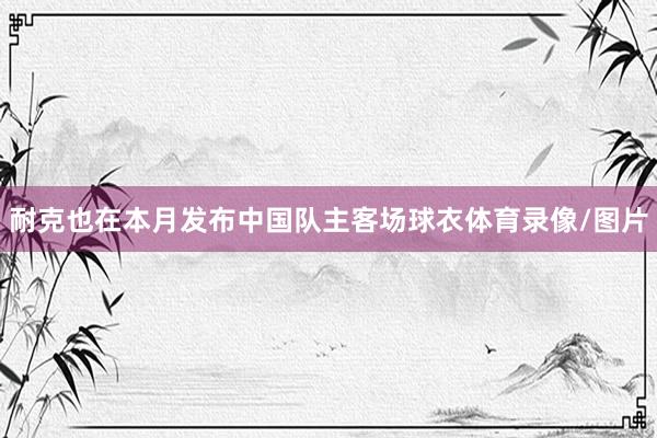 耐克也在本月发布中国队主客场球衣体育录像/图片