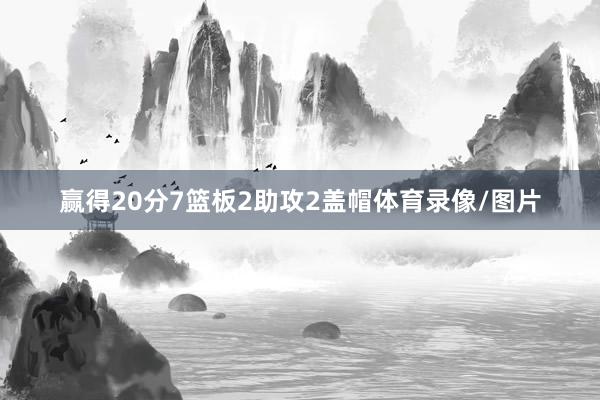 赢得20分7篮板2助攻2盖帽体育录像/图片