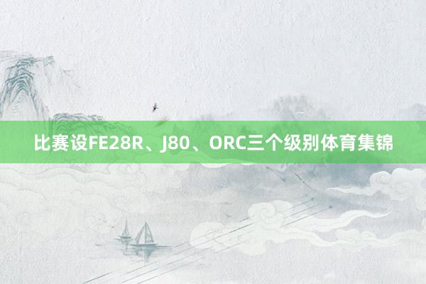 比赛设FE28R、J80、ORC三个级别体育集锦