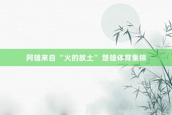 阿雄来自 “火的故土” 楚雄体育集锦