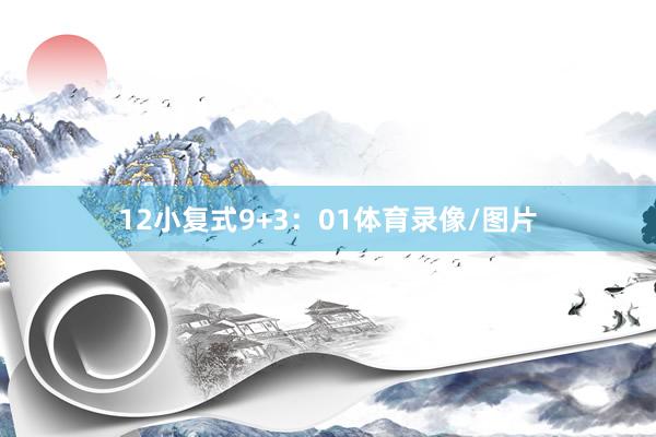 12　　小复式9+3：01体育录像/图片